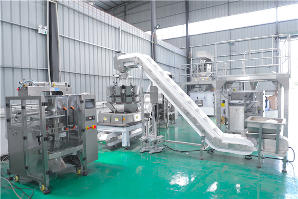 Guangdong Longchuan Intelligent Robot Co., Ltd. Multi Function Packaging Machines
