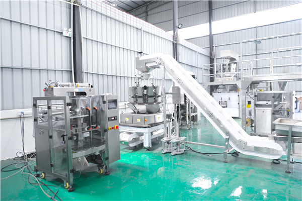Guangdong Longchuan Intelligent Robot Co., Ltd. Industrial Robots
