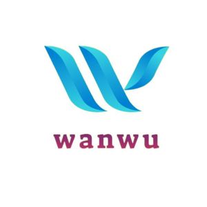 Company icon