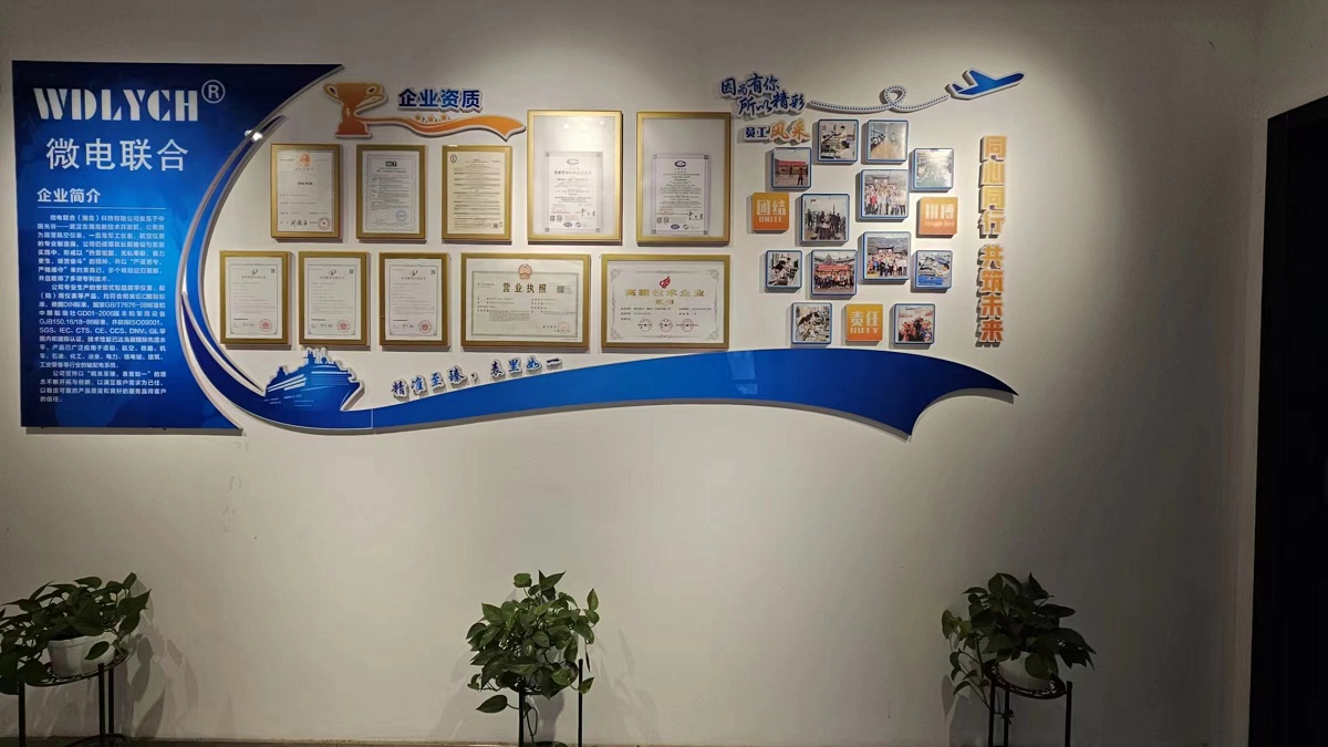 Wei Dian Union (hubei) Technology Co., Ltd. Digital Panel Meters