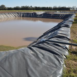 Geomembranas