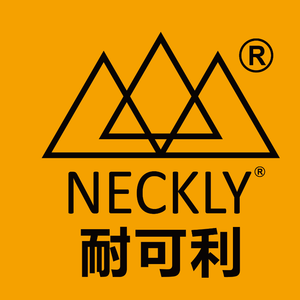 Company icon