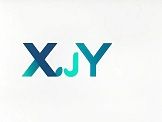 Company icon