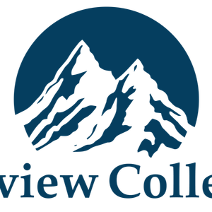 Company icon