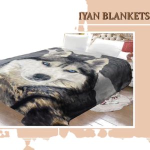 Raschel Blanket