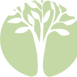 Company icon