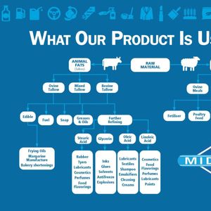 Midfield Protein Solutions
