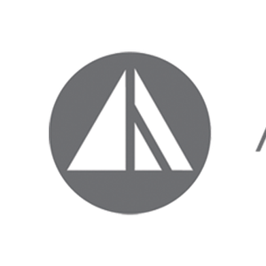 Company icon