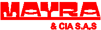 Company icon