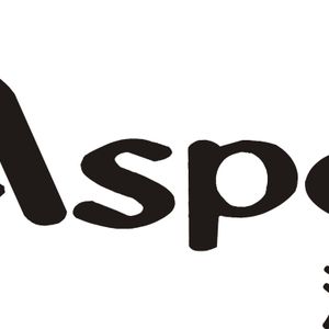 Company icon