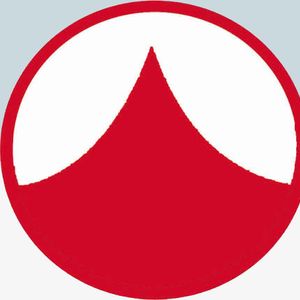 Company icon