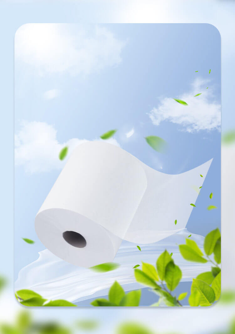 toilet tissue
