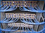 Networking Accessories