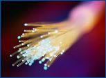 Fiber Optic