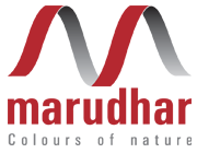 Company icon