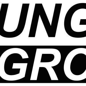 Company icon