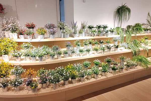 Dongguan Hon Wah Flowers Manufactory Co., Ltd. Artificial Plants