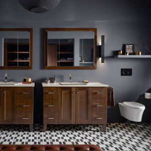 Undercounter lavatories and bowls, toilets, sinks