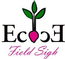 Company icon