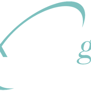 Company icon