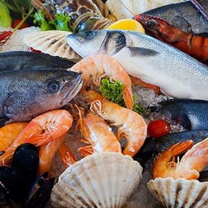 Seafood