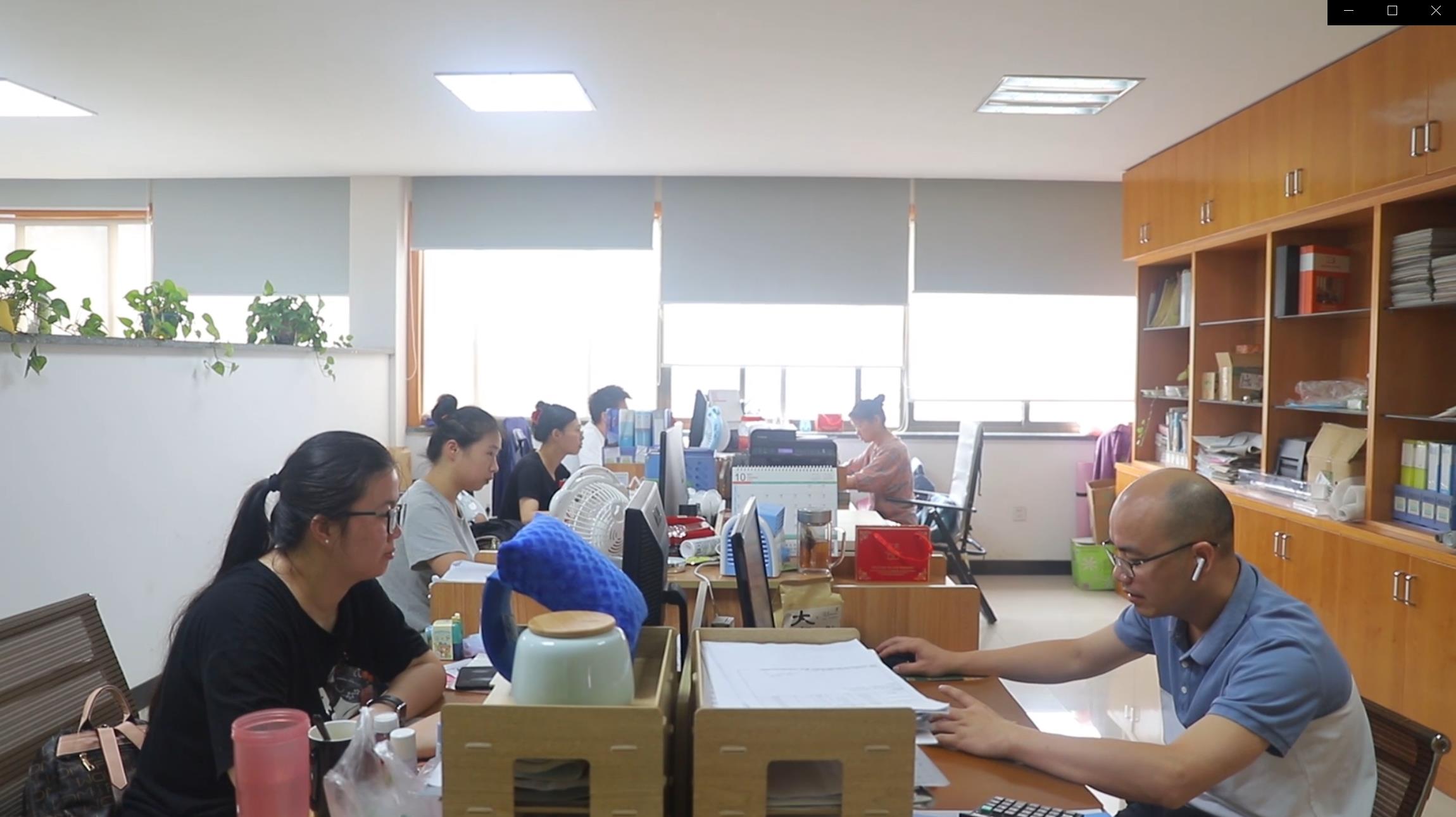 Shaoxing Red Grape Textile Decoration Co., Ltd. Roller Blinds