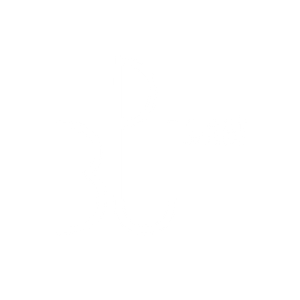 Company icon