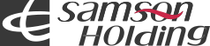Company icon