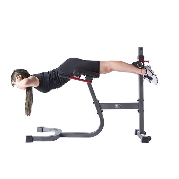 Commercial Gym Exercise Equipment Back Extension Benches  Roman Chair