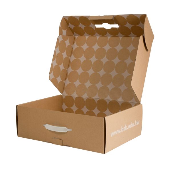 Recycled Materials Customizable Bulk Foldable Shoe Storage Boxes Modern Style Budget Carton Packaging Shoe Boxes with Handle