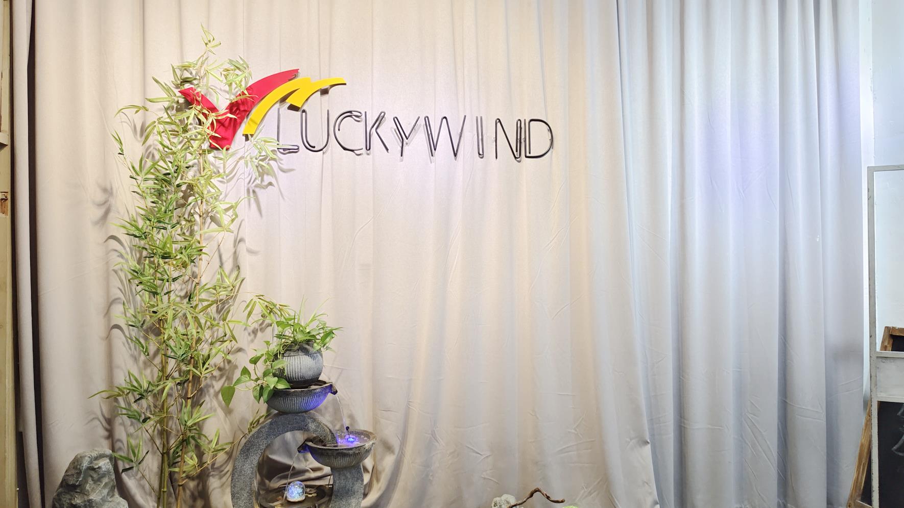 Luckywind Handicrafts Company Ltd. Planter Pots