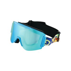Ski Goggles