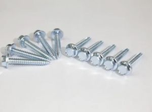Screw