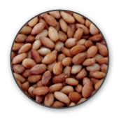 Roasted Sesame Seeds