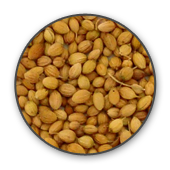 Coriander Seeds