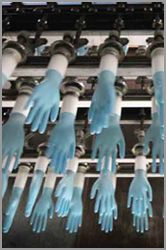 gloves
