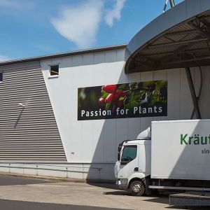 Plant-based raw materials