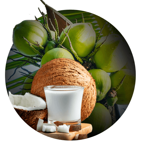 Coconut Products
