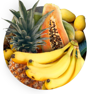 Tropical Fruit Products