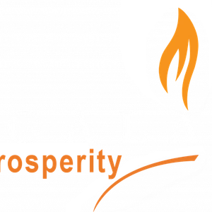 Company icon