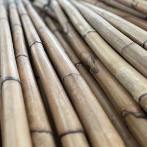 Rattan