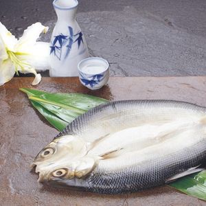 MILKFISH