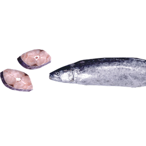 KINGFISH