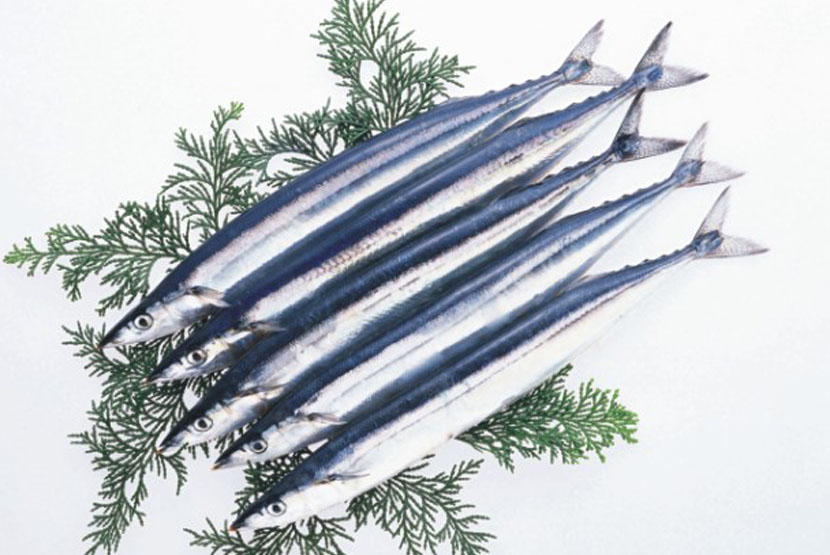 PIKE MACKEREL(SANMA)