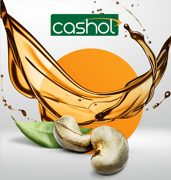 Cashew nut shell liquid (CNSL) derivatives