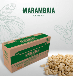 Cashew nut Kernels - bulk products
