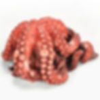 Octopus WG