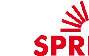 Company icon