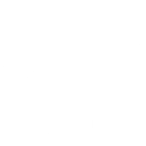 Company icon