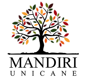 Company icon